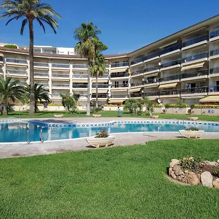 Homing Cristal 10 * Miami Playa
